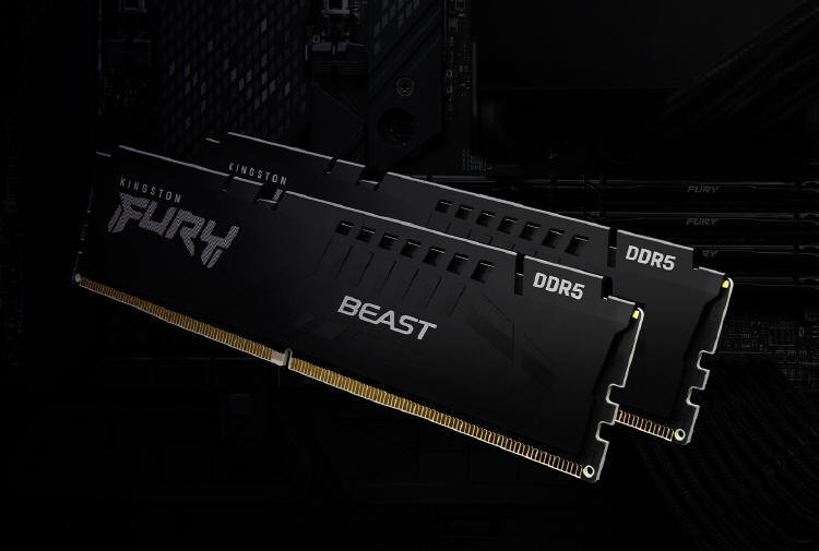 Kingston FURY Beast DDR5 