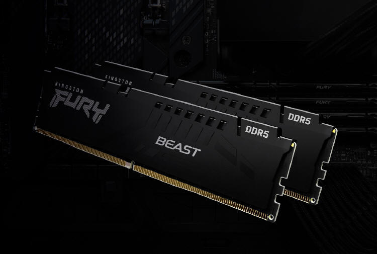 Kingston FURY Beast DDR5