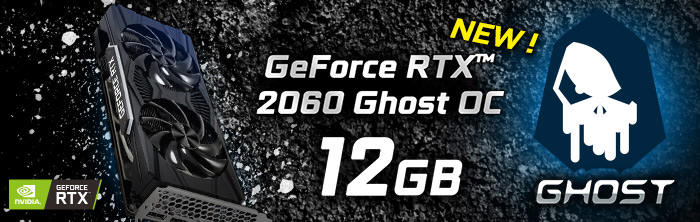 GAINWARD GeForce RTX 2060 12 GB Ghost Series