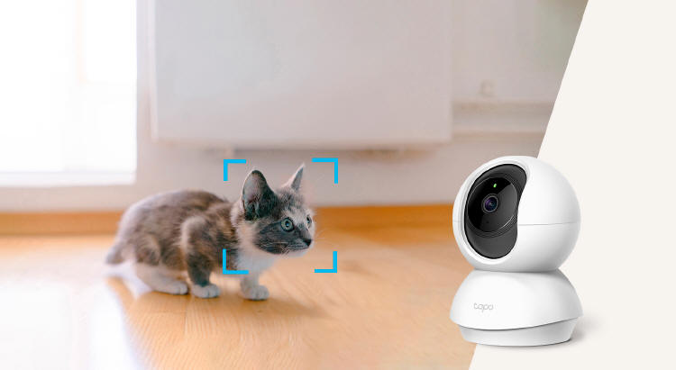 TP-Link Tapo Care – usługa chmurowa dla kamer do monitoringu