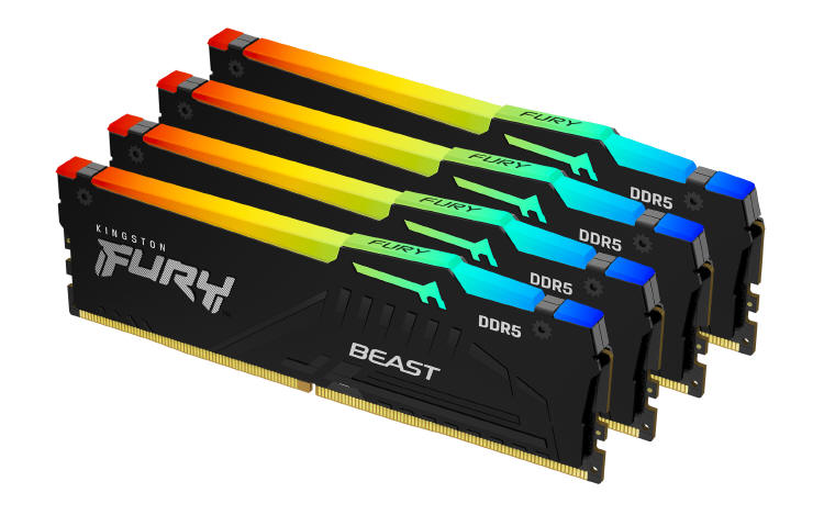 Kingston FURY Beast DDR5 RGB