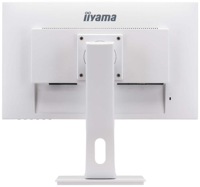 iiyama - budżetowe monitory serii ProLite
