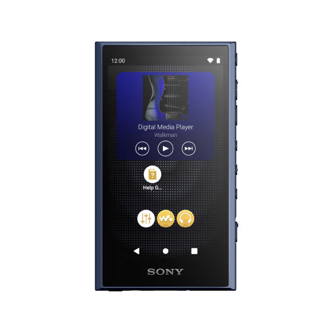 Sony Walkman NW-A306