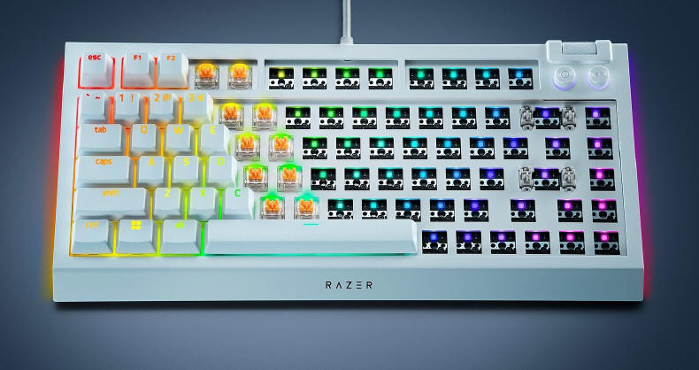 Razer – w pełni konfigurowalny BlackWidow V4 75% Barebones