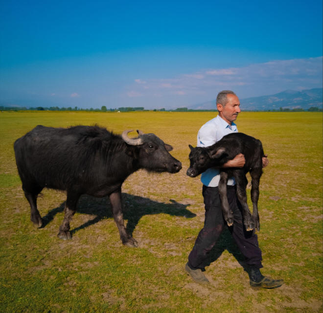 Konkurs fotograficzny HUAWEI XMAGE Awards 2025 rozstrzygnity