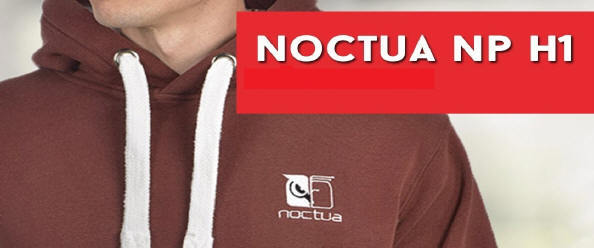 Obrazek NP-H1 Grey / Brown - Ubierz się w Noctuę...
